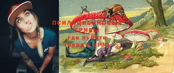 дмт Бронницы