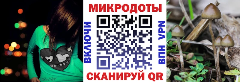 Галлюциногенные грибы мицелий Новокубанск